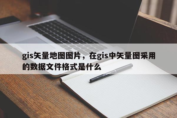 gis矢量地图图片，在gis中矢量图采用的数据文件格式是什么