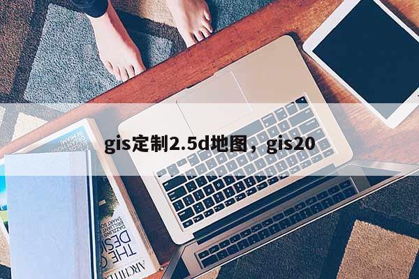 gis定制2.5d地图，gis20