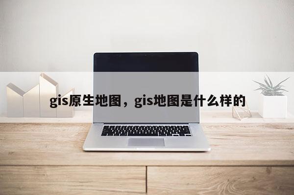 gis原生地图，gis地图是什么样的