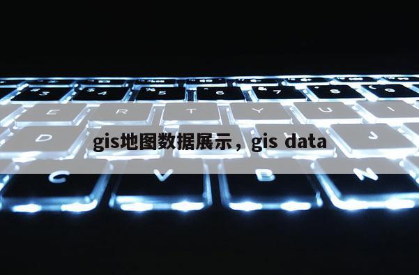 gis地图数据展示，gis data