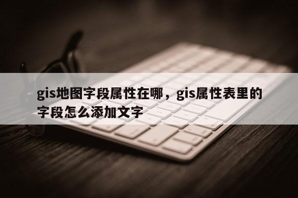 gis地图字段属性在哪，gis属性表里的字段怎么添加文字