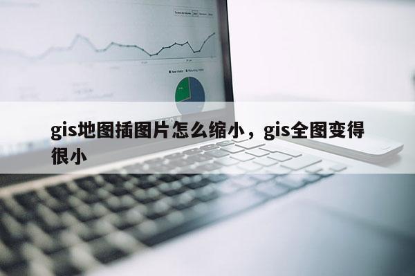 gis地图插图片怎么缩小，gis全图变得很小