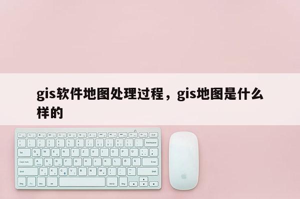 gis软件地图处理过程，gis地图是什么样的