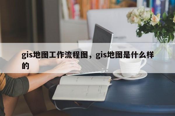 gis地图工作流程图，gis地图是什么样的