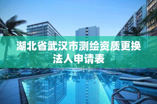 湖北省武汉市测绘资质更换法人申请表