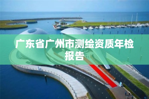 广东省广州市测绘资质年检报告