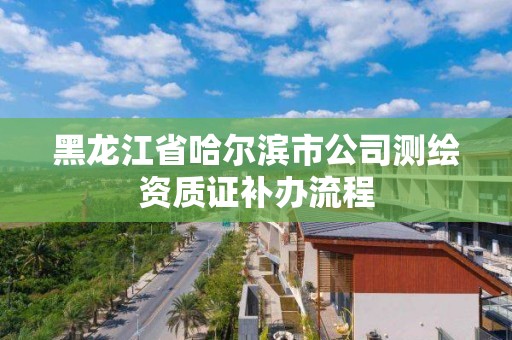 黑龙江省哈尔滨市公司测绘资质证补办流程