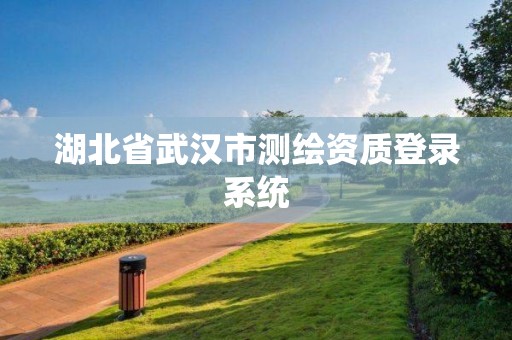 湖北省武汉市测绘资质登录系统