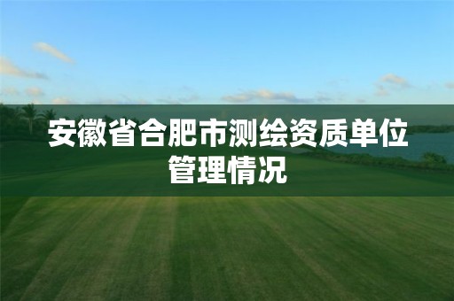 安徽省合肥市测绘资质单位管理情况