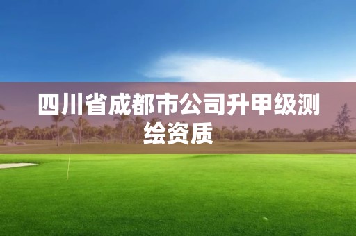 四川省成都市公司升甲级测绘资质