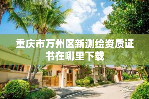 重庆市万州区新测绘资质证书在哪里下载