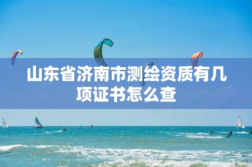 山东省济南市测绘资质有几项证书怎么查