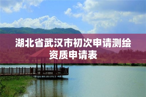 湖北省武汉市初次申请测绘资质申请表