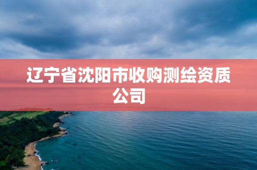 辽宁省沈阳市收购测绘资质公司