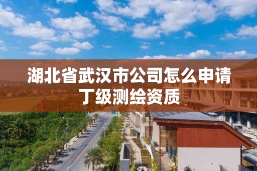 湖北省武汉市公司怎么申请丁级测绘资质