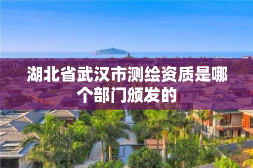 湖北省武汉市测绘资质是哪个部门颁发的