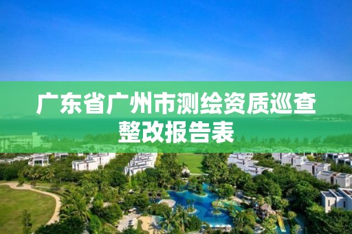 广东省广州市测绘资质巡查整改报告表