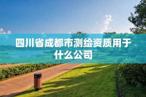 四川省成都市测绘资质用于什么公司