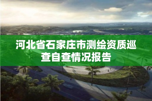 河北省石家庄市测绘资质巡查自查情况报告