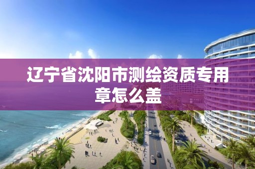 辽宁省沈阳市测绘资质专用章怎么盖