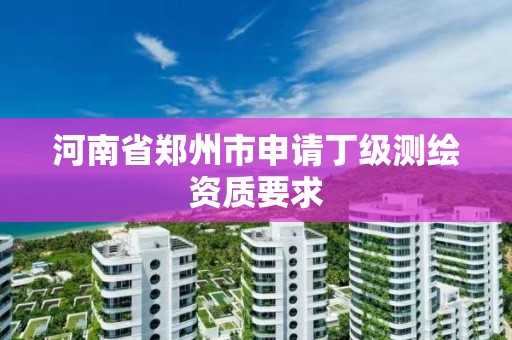 河南省郑州市申请丁级测绘资质要求