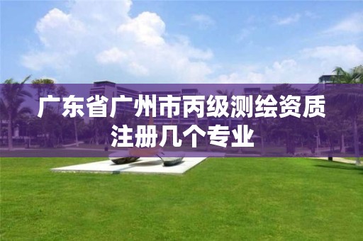 广东省广州市丙级测绘资质注册几个专业