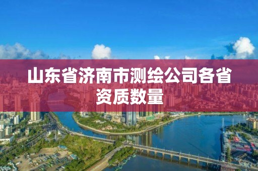 山东省济南市测绘公司各省资质数量