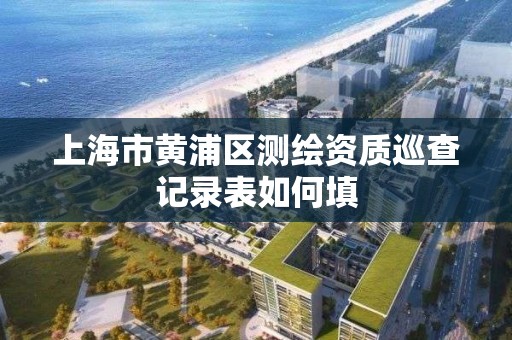 上海市黄浦区测绘资质巡查记录表如何填