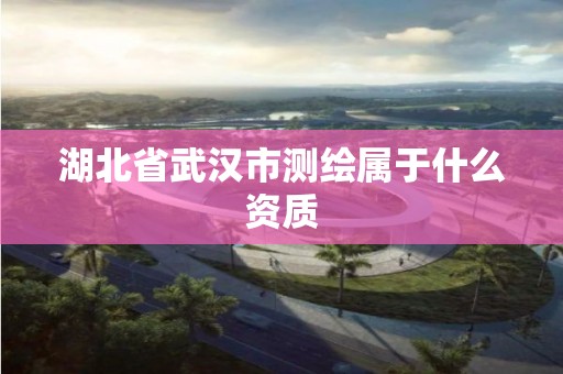 湖北省武汉市测绘属于什么资质