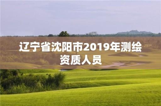 辽宁省沈阳市2019年测绘资质人员