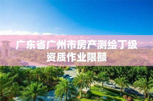 广东省广州市房产测绘丁级资质作业限额