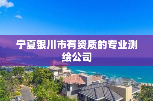 宁夏银川市有资质的专业测绘公司