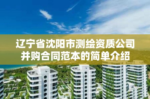 辽宁省沈阳市测绘资质公司并购合同范本的简单介绍