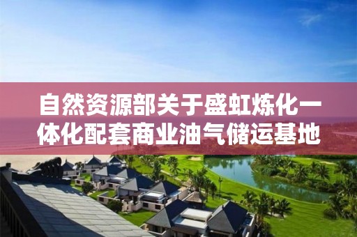 自然资源部关于盛虹炼化一体化配套商业油气储运基地项目海域使用论证报告的公示