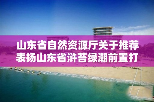 山东省自然资源厅关于推荐表扬山东省浒苔绿潮前置打捞突出集体和个人的通知