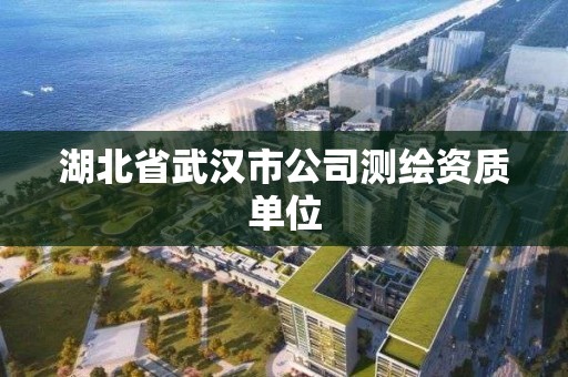 湖北省武汉市公司测绘资质单位