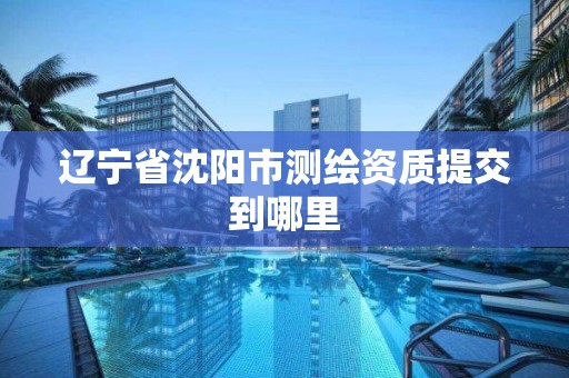 辽宁省沈阳市测绘资质提交到哪里