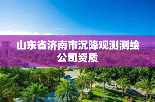 山东省济南市沉降观测测绘公司资质