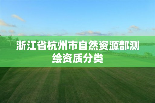 浙江省杭州市自然资源部测绘资质分类