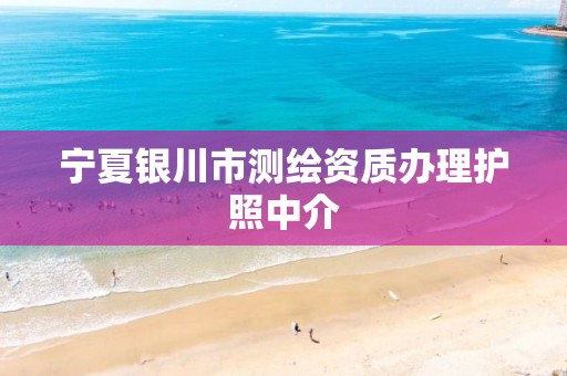 宁夏银川市测绘资质办理护照中介