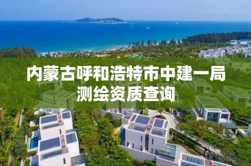 内蒙古呼和浩特市中建一局测绘资质查询