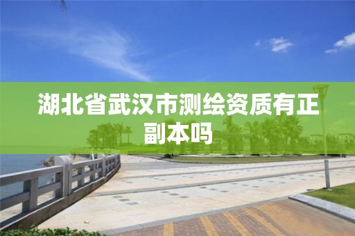 湖北省武汉市测绘资质有正副本吗