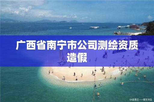 广西省南宁市公司测绘资质造假