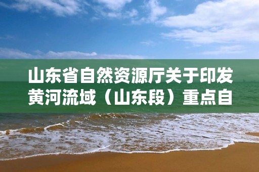 山东省自然资源厅关于印发黄河流域（山东段）重点自然资源统一确权登记工作方案的通知