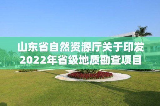 山东省自然资源厅关于印发2022年省级地质勘查项目立项指南的通知