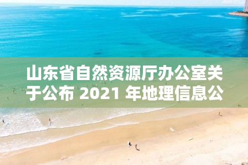 山东省自然资源厅办公室关于公布 2021 年地理信息公共服务平台综合评估情况的通知