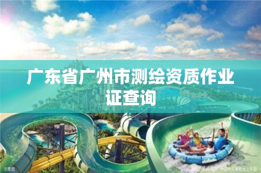 广东省广州市测绘资质作业证查询