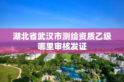 湖北省武汉市测绘资质乙级哪里审核发证