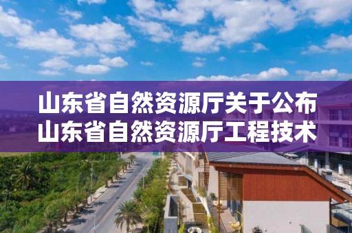 山东省自然资源厅关于公布山东省自然资源厅工程技术职务资格中初级评审委员会2021年度评审结果的通知