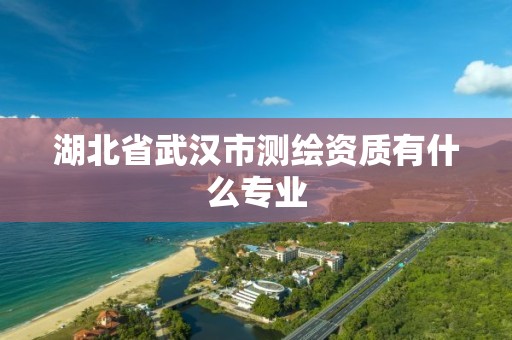 湖北省武汉市测绘资质有什么专业